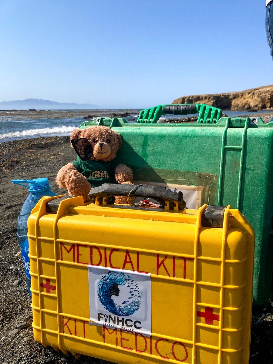 MarinaBanuet's tweet photo. A summary of Albert's trip during the #FiNHCC project 2023 expedition in Mexico @CCGHResearch @Sherilee_H @UAlbertaSPH https://t.co/TH8Mu6hIZW