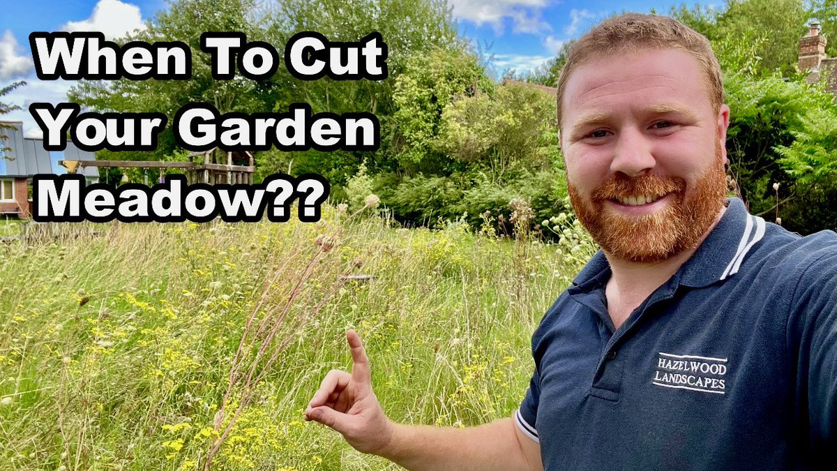 For anyone wanting to know when is the best time to cut their #wildflowermeadow & how to manage it, my latest @youtube video explains all 😊 Link👇Thank you again to anyone who has undertaken a #NoMowSummer this year, you’ve made a big difference!👏👊👍 youtu.be/G85YdEtwnI4?si…