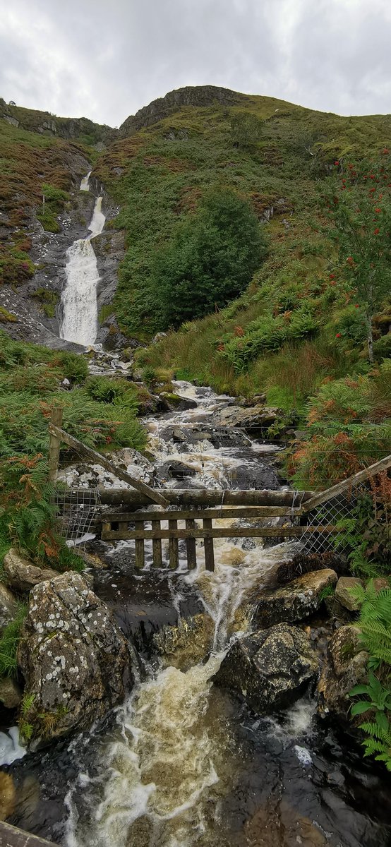 Amanda_Durber's tweet photo. Run day Sunday🏃‍♀️. On the trails. Drizzly weather to start off but some sun towards the end☀️ @KarenDurber #NorthWales #running #trailrunning #trails #happySunday https://t.co/7kOqri8Rdm