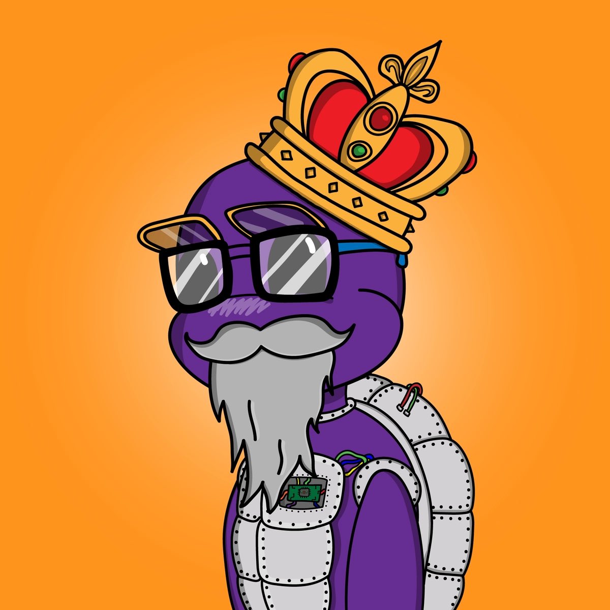 BabOuZa_'s tweet image. Buy this beauty’s and some $TRTL , supporting great  causes. #savetheturtles #saveturtles @TurtleSyndicate