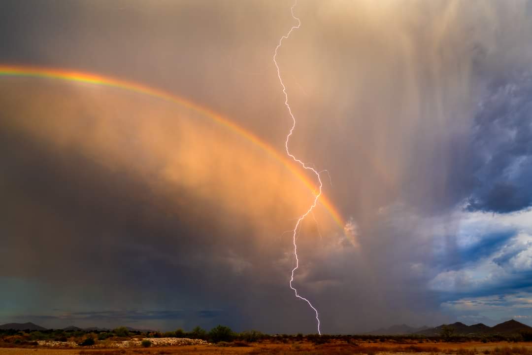 Nick Selway tweet media