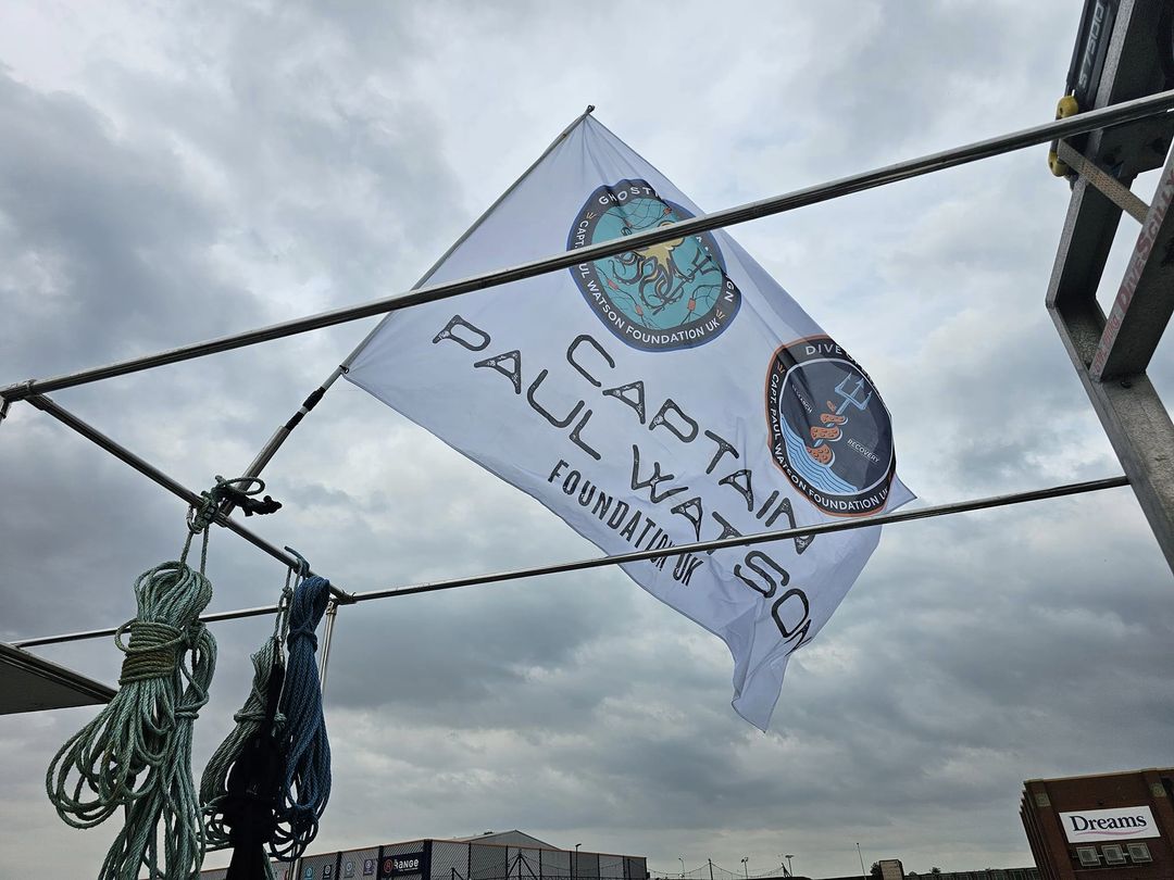 CaptPaulWatson's tweet photo. Update from Captain Paul Watson in his own words;
---
"A Year of Renewal, Rebuilding and Rebranding

It's been a year since @OmarTodd  established the Captain Paul Watson Foundation. (CPWF).

After being forced out of Sea Shepherd, I had told him that I was fed up with these corporate structures and wanted nothing to do with creating yet another bureaucratic non-governmental organization.

Omar said, well, do you mind if I establish a new organization?

I said, well knock yourself out if you feel it's a good idea.

Omar said that because of the hostility of those who ousted me who said they would cancel and bury me, that we needed something completely different in terms of style, logo and name while at the same time retaining the original philosophy of aggressive non-violent intervention needed to go where they would not follow or co-opt us and thus we needed to go all out with the pirate identity.

We had to continue to be who we were by becoming something distinctively different. (As the public court lodged affidavits explain in detail)

Establishing a new organization and movement is one thing but without support it's kind of meaningless."

Keep reading:👉  https://t.co/EAbnWjhJ4o 👈

#piratesofcompassion
#neptunespirates
#cpwfuk
#CPWF
#piratesgetthingsdone
#piratesfortheocean