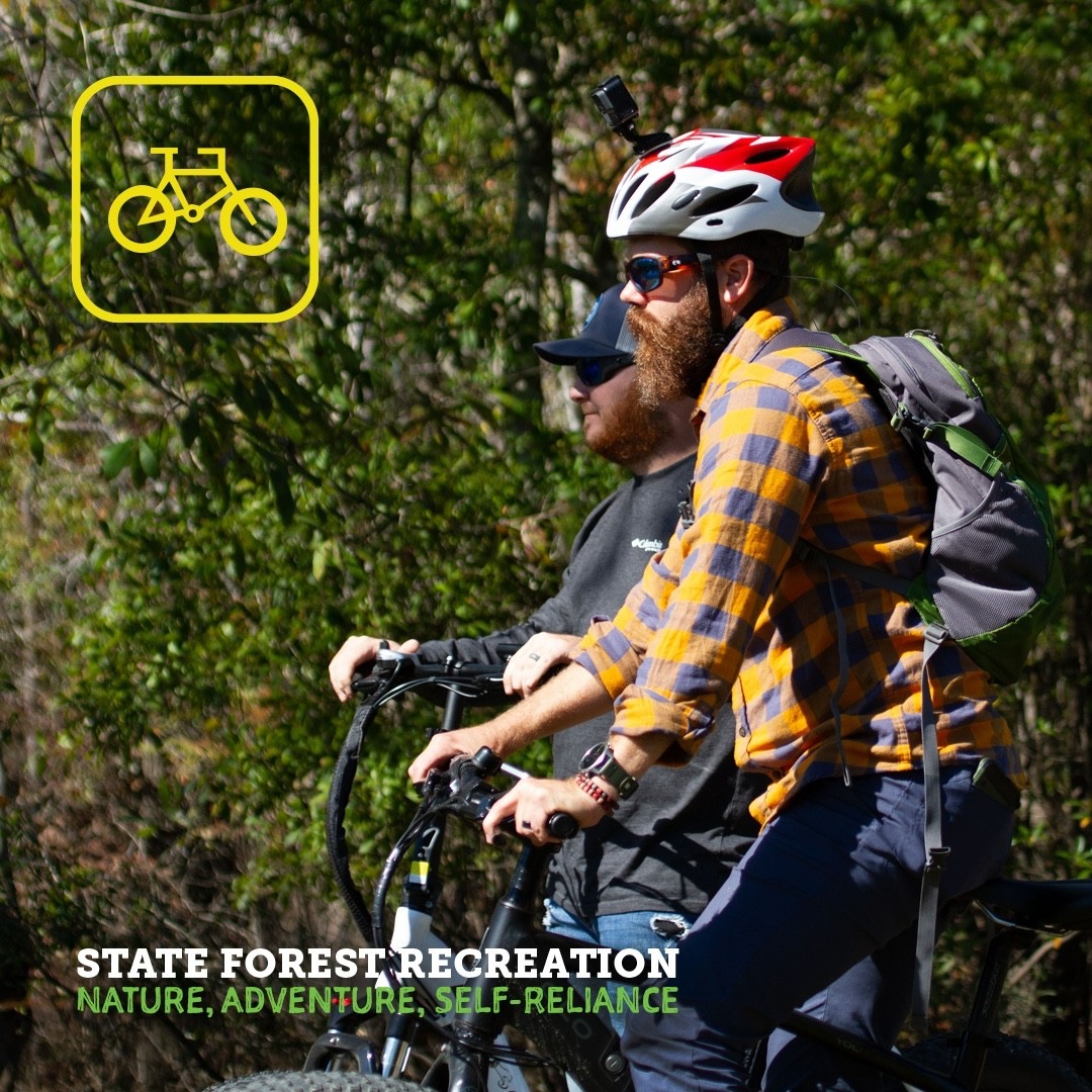 Florida Forest Service tweet media