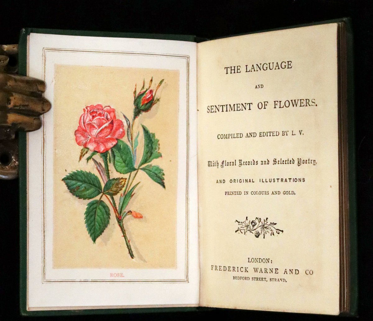 mflibra's tweet photo. 1875 Rare small Floriography Book ~ The Language and Sentiment of Flowers by Laura Valentine.
More info:
https://t.co/csvEWGKzqI
#BookWithASoul #Victorian #SmallBook #Floriography #LauraValentine #illustrated #bookworm #library #bookstore #booknerd #rarebooks #bibliophile https://t.co/eaKmDS0r64