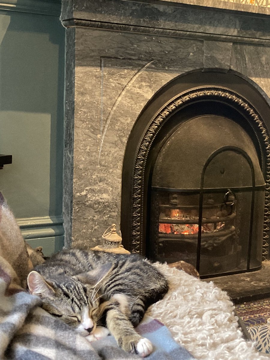 Cosy August evenings by the fire!