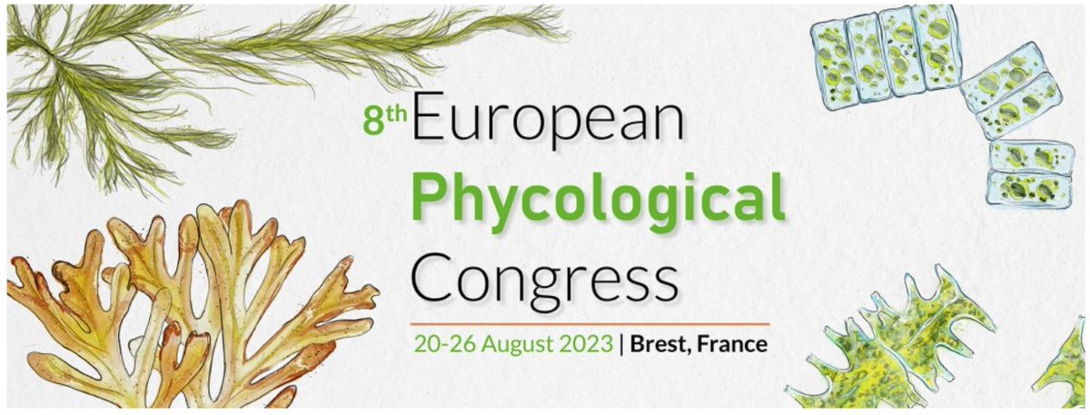 Dr_Abomohra's tweet photo. Nice to have such interview with #3Bretange during my participation as a conver in #EPC8. 
The event provided an excellent platform for gaining inspiration from fresh ideas and exchanging knowledge.
Thanks for the organizing committee 

https://t.co/c2HZerl7jN https://t.co/IZTiedNps0
