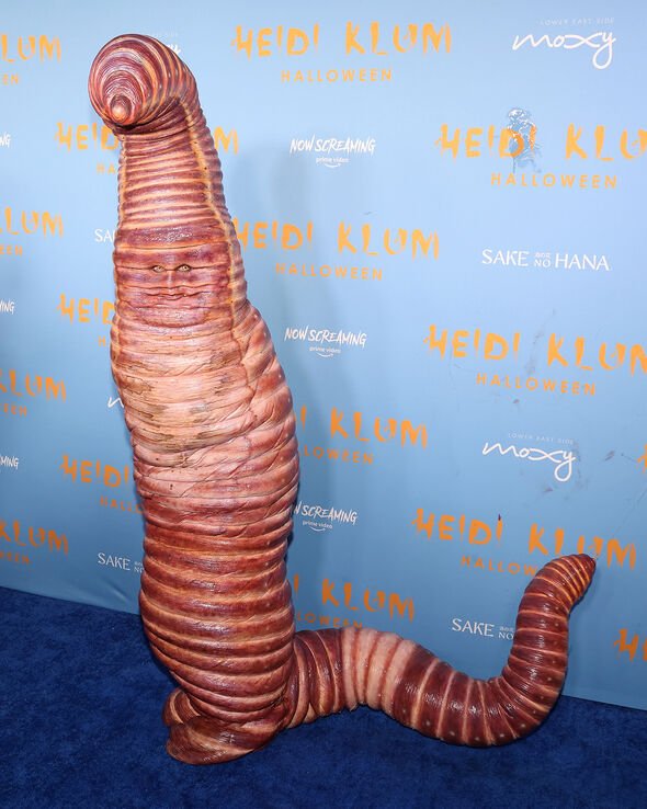 if i had a fursuit it would be a hyperrealistic giant bug and it would have to look like heidi klum as a worm like this is the ideal