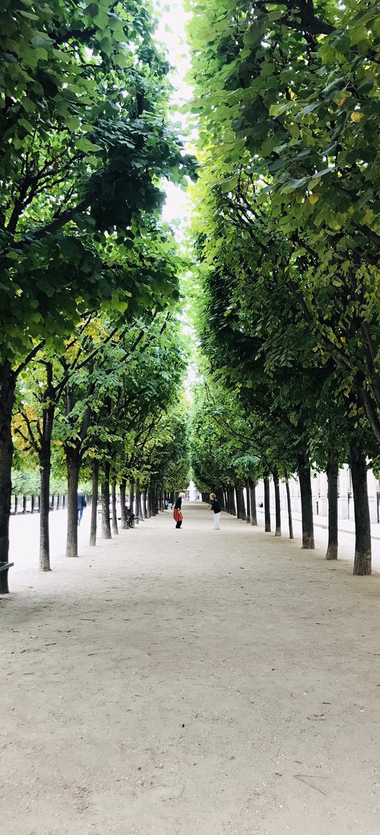 embop's tweet photo. Tres, tres bien 🥖 💀 🌳 https://t.co/wfEsBRhrzh