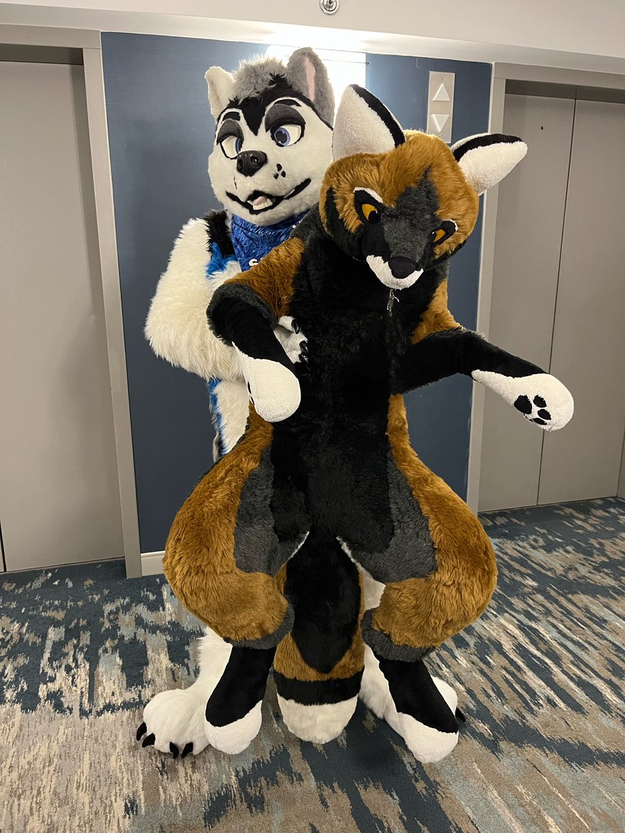 All these animals won’t keep their paws off of me! <a href="/Furrydelphia/">Furrydelphia 2026: Spirit Howl-O-Ween</a> 
<a href="/TheSinclairWolf/">Sinclair Wolf</a> 
<a href="/PlushLife_eu/">PlushLife</a> CrossFox