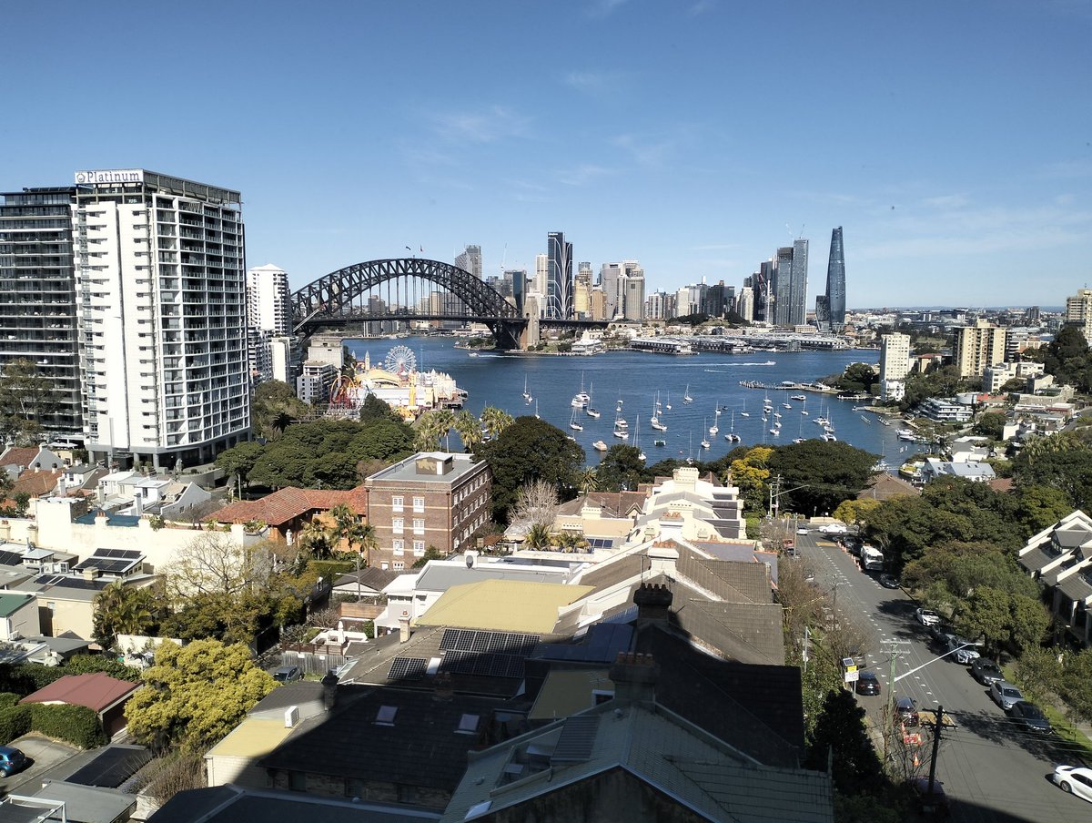 Bella Muxie tweet media