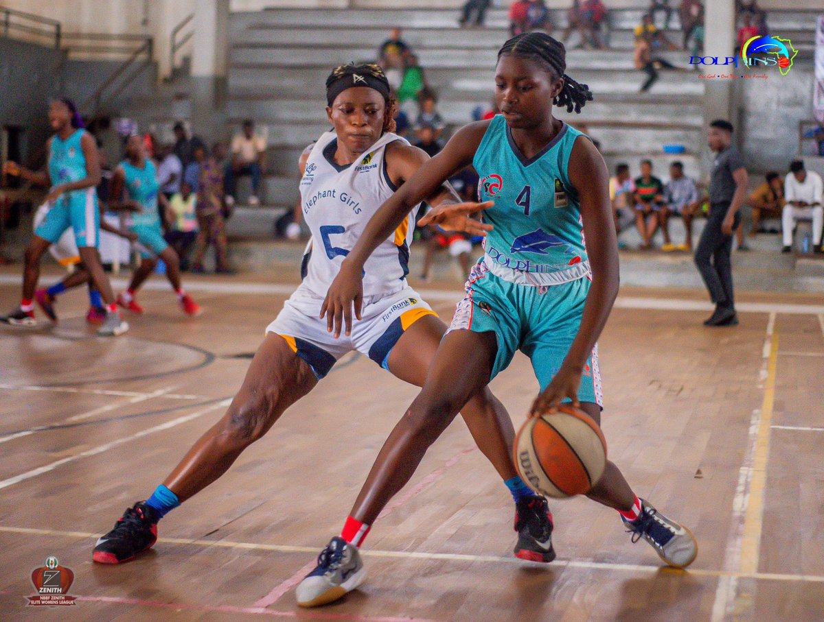 BballNaija's tweet photo. The Elephant Girls of @FirstBankngr finished the first phase of the Atlantic Conference of the #ZenithWBL unbeaten. 

The defeated @DolphinsTeam1 in their last game 61-42. 

Next is Phase 2 in Asaba 
🐘 https://t.co/hPNqop0ul0