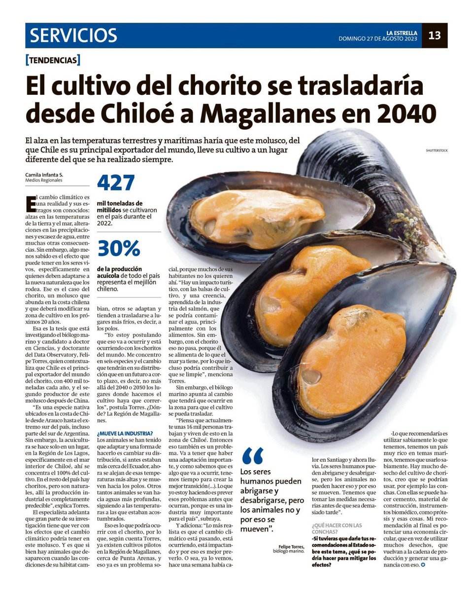A prepararse #Magallanes , planean la invasión de concesiones de choritos , al igual como hicieron en el archipiélago de #Chiloé .

A diferencia del #salmon, que es exótico e invasor , el chorito es nativo , pero de ser cultivado de manera intensiva (a la chilensis) , provoca