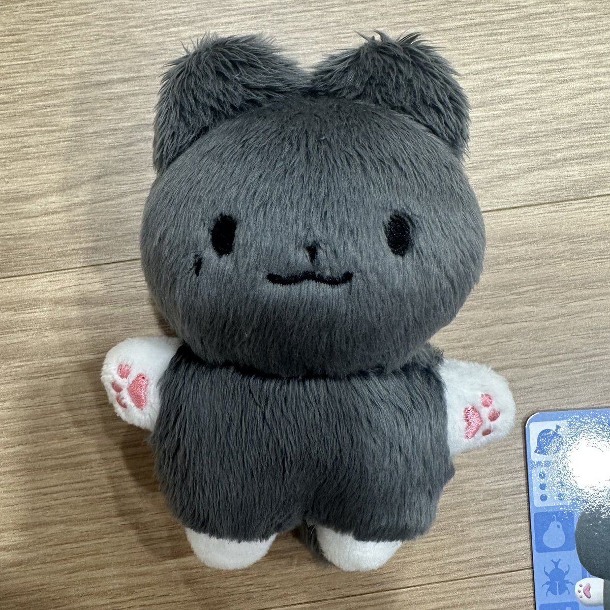 grgr0_0's tweet photo. 우주소녀 설아 10cm 인형 샤키 양도

택 제거, 털 정리, 미용했고 특전 전부 있어요
외출, 목욕 x
택배비 포함 19000원 https://t.co/mRlaCkckg8