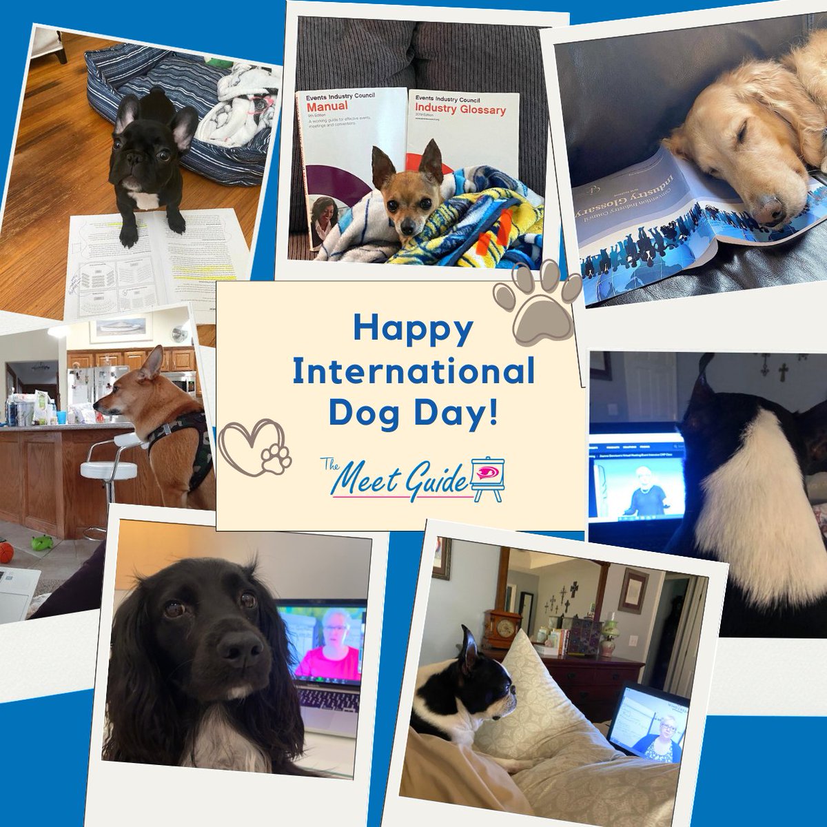 A day late, but I couldn’t go without saying happy International Dog Day to our furry friends!🐾

These are some adorable fur babies/study buddies who have sat in on my virtual CMP classes over the years!

#internationaldogday #themeetguide #cmp #meetingsandevents #meetingprofs
