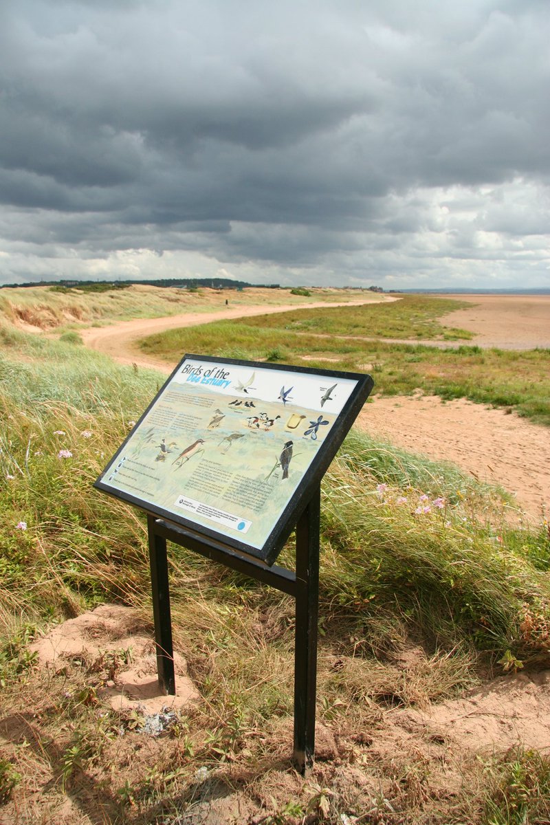ridesnapwrite's tweet photo. Where the #timespan pix began. The sign was new in July 2006 and the #strand line of the #beach between Red Rocks and West Kirby was much clearer. By August 2016 #dunification is well underway. Yesterday the sign was almost overwhelmed by vegetation. #hoylake https://t.co/Pb1TbQMTWz