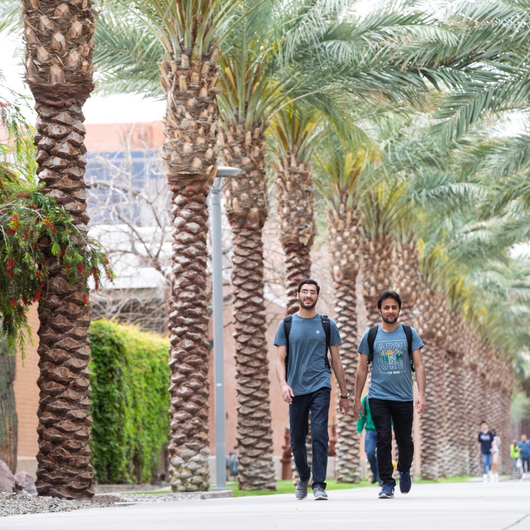 ASU's tweet photo. #DidYouKnow: Palm Walk has been called the most photographed place on ASU's Tempe campus? 

Some fun facts:
🌴 The original fan palms date back to 1916. 

🌴 The new date palms along the path provide more shade and fruit for the university’s annual date harvest 

We 💛 Palm Walk! https://t.co/laLxdDY221