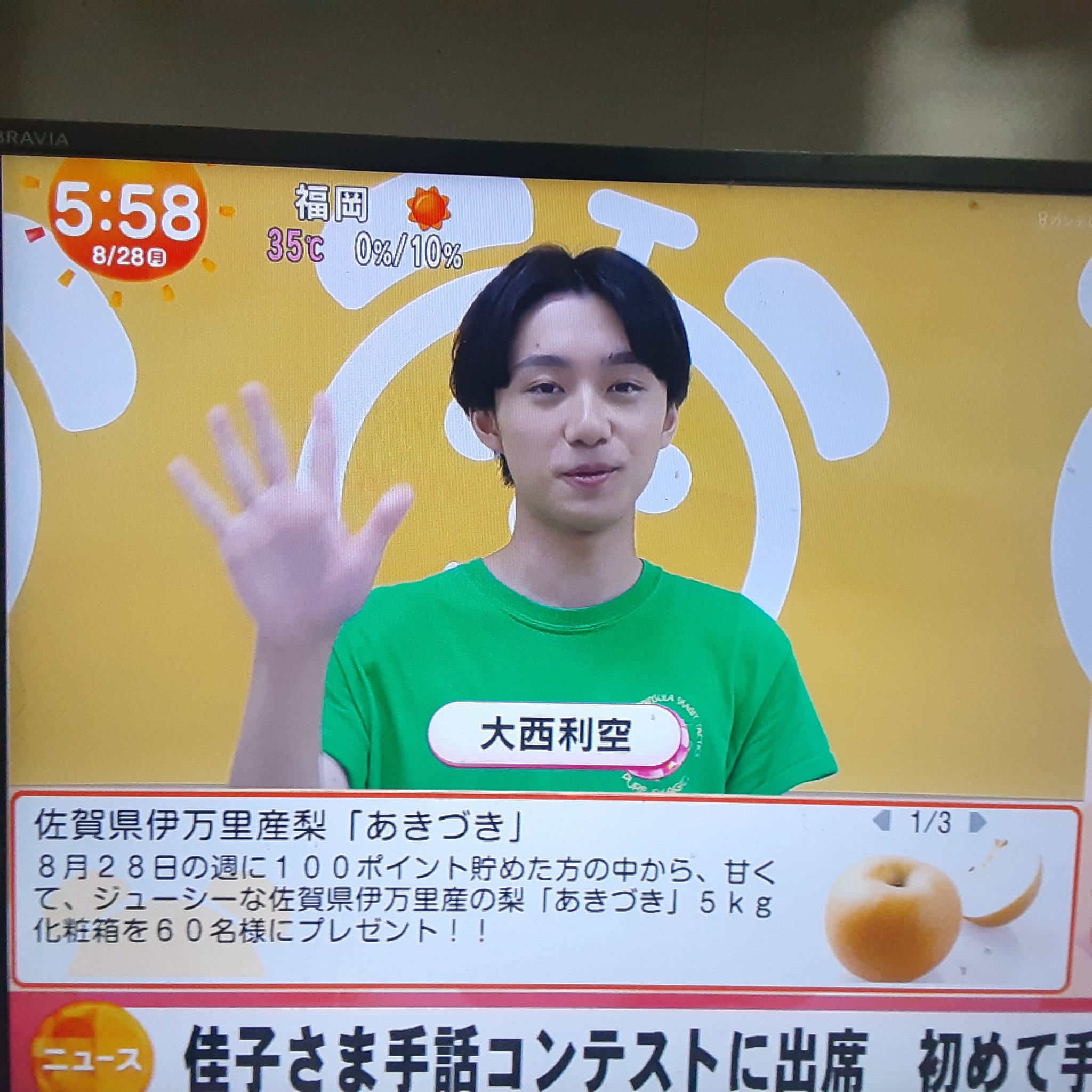 やっち on X: 