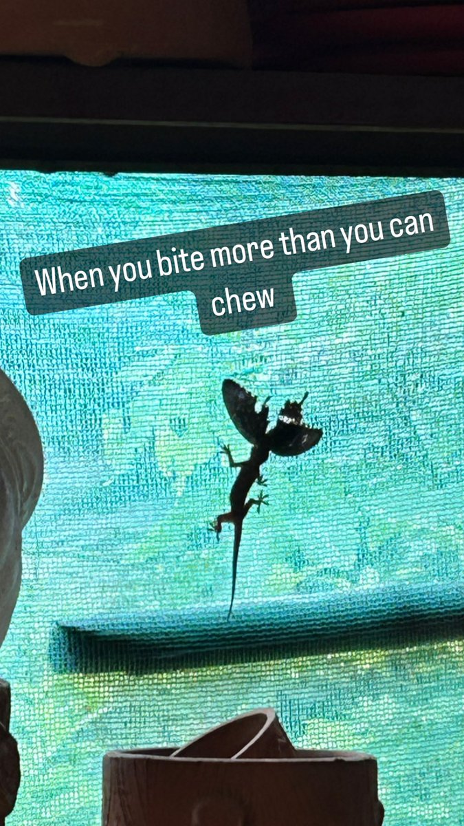 dipanjansays's tweet image. When you bite more than you can chew #bigbite