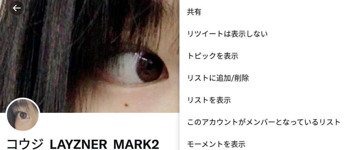 コウジ_LAYZNER_MARK2 tweet media