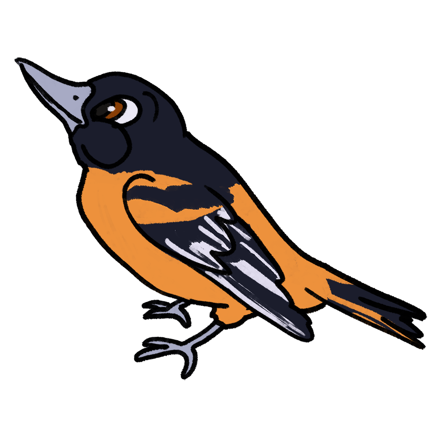 MaddieFawnadeer's tweet photo. I made some Disney-style bird stickers for my redbubble!
1. American Crow
2. Baltimore Oriole
3. Barn Swallow
4. Blue Jay
#art #bluejay #americancrow #barnswallow #baltimoreoriole #birdstickers #redbubble https://t.co/Cgdo0k1Q1x