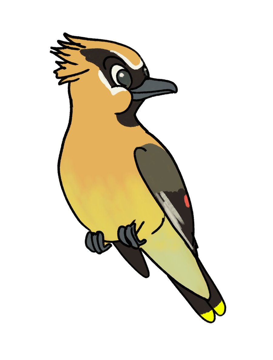 MaddieFawnadeer's tweet photo. More Disney-style birds
1. Cedar Waxwing
2. Chipping Sparrow
3. Common Grackle
4. Common Yellowthroat
#art #redbubble #birdstickers #cedarwaxwing #chippingsparrow #commongrackle #commonyellowthroat https://t.co/6tWmUjcnkF
