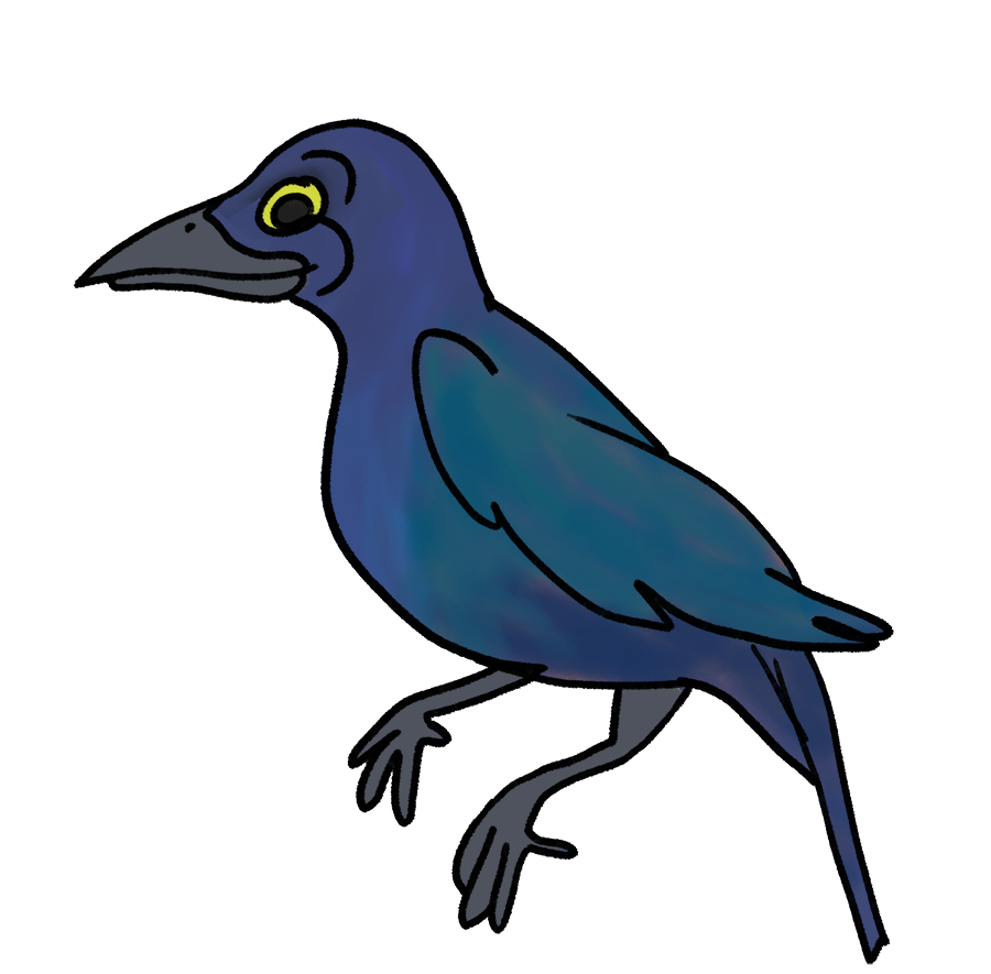 MaddieFawnadeer's tweet photo. More Disney-style birds
1. Cedar Waxwing
2. Chipping Sparrow
3. Common Grackle
4. Common Yellowthroat
#art #redbubble #birdstickers #cedarwaxwing #chippingsparrow #commongrackle #commonyellowthroat https://t.co/6tWmUjcnkF