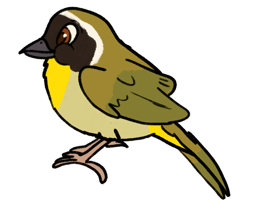 MaddieFawnadeer's tweet photo. More Disney-style birds
1. Cedar Waxwing
2. Chipping Sparrow
3. Common Grackle
4. Common Yellowthroat
#art #redbubble #birdstickers #cedarwaxwing #chippingsparrow #commongrackle #commonyellowthroat https://t.co/6tWmUjcnkF