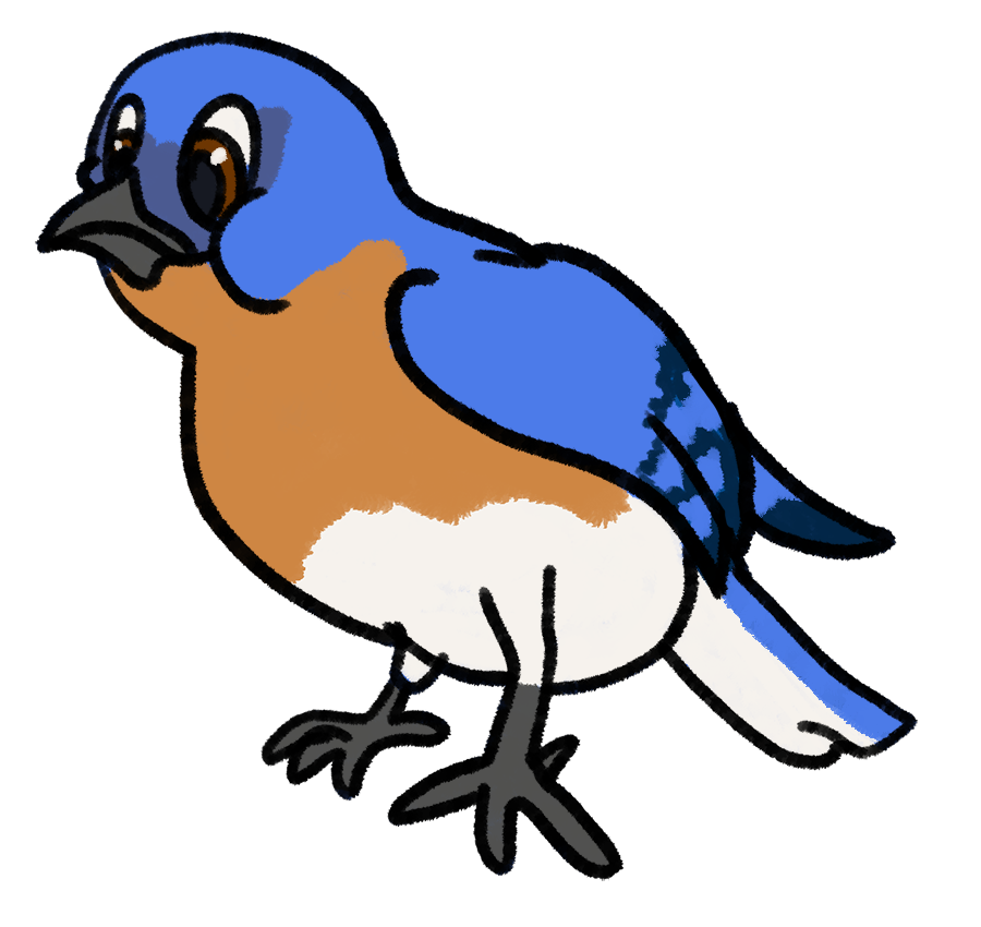 MaddieFawnadeer's tweet photo. More Disney-style birds
1. Dark-eyed Junco
2. Downy Woodpecker
3. Eastern Bluebird
4. Eastern Kingbird
#art #redbubble #birdstickers #darkeyedjunco #downywoodpecker #easternbluebird #easternkingbird https://t.co/KiAQmMbUN9