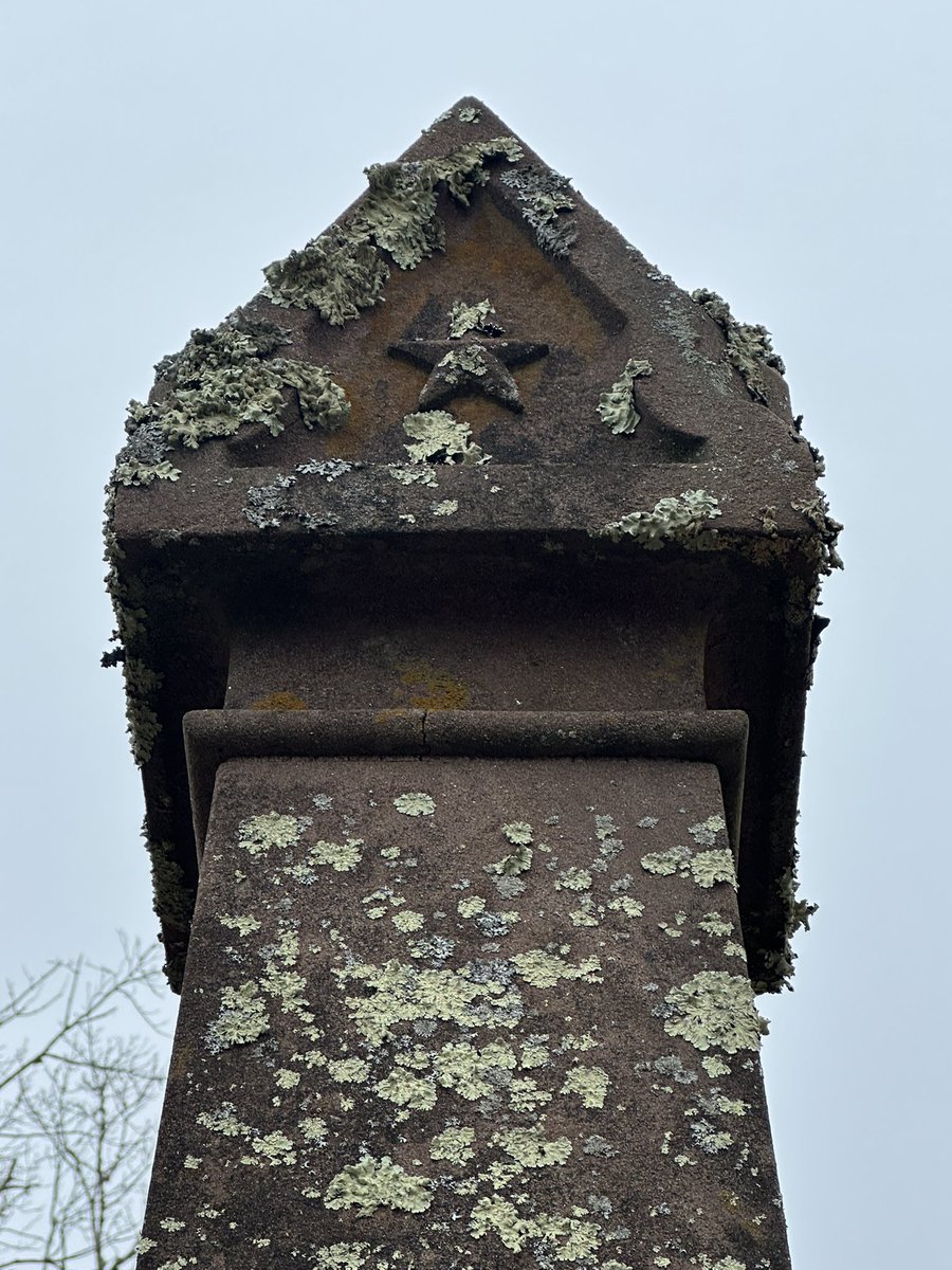 pat_ward1's tweet photo. While praising the dead
Continuity of life
Proves itself in stone
#Haikuchallenge #haiku #poetry #microflora https://t.co/nhAdAqqz5B