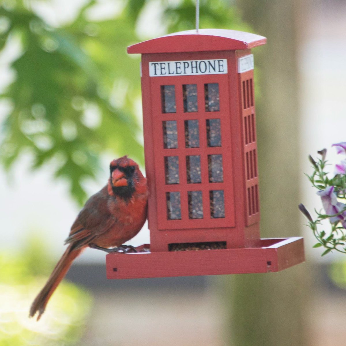 Thom Moore ⭐⭐ tweet media