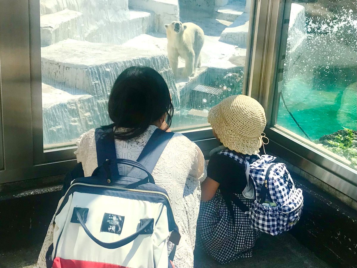 sunplaza2ax's tweet photo. 일본에서 3번째로 긴 역사를 가진 텐노지 동물원.
1915 1월 1일에 문을 열었습니다.
저희 호텔에서 도보로 15분입니다.
꼭 들려보세요!

日本で3番目に長い歴史を持つ、天王寺動物園。
開園は大正4年1月1日です。
当ホテルより徒歩15分ですので
是非、どうぞ!

#HotelSunplazaGroup #텐노지동물원 https://t.co/vMYxooSaAl