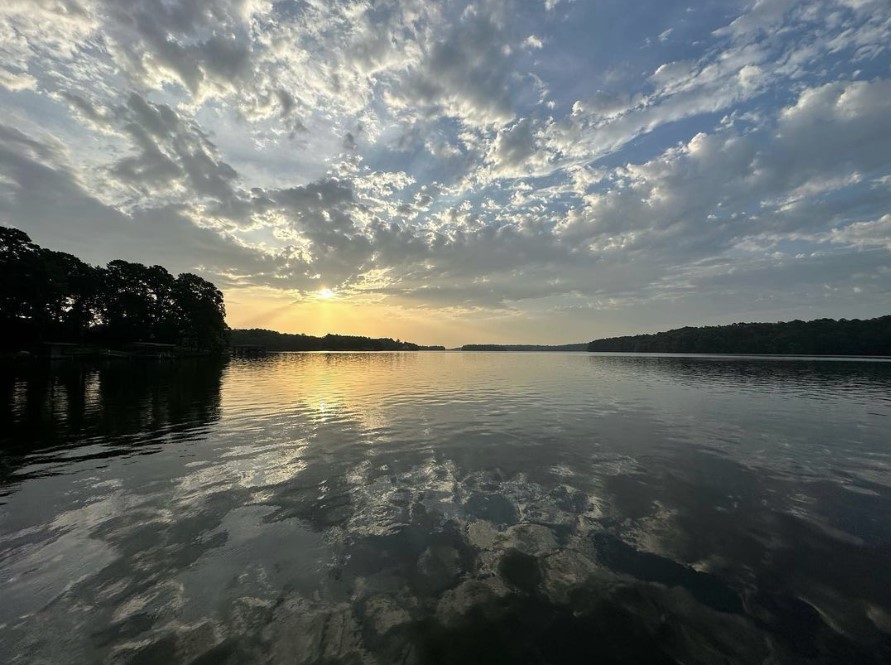 Lost in the enchantment of Lake Hamilton! 

📸: i41amgeorges via IG

#LakeHamilton #LakeLife #LakeAdventures #LakeLove #SummerAtLakeHamilton
#LakeHamiltonViews #LakeRetreat #NatureBeauty #LakeSunsets#LakeVibes #LakeMagic
#SummerBliss #LakeMemories #LakeEscape