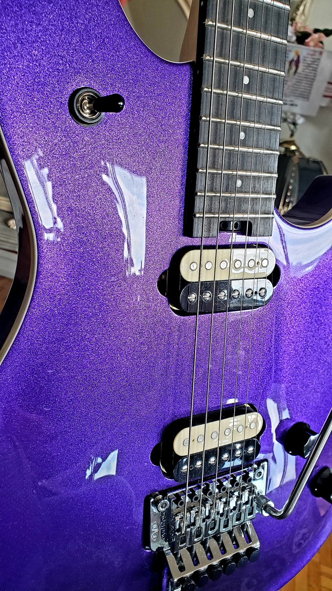 Some purple glitter on this Wolfgang 💜.  #electricguitar #evhwolfgang #evhgear #evhguitars #purpleguitar #purplesparkle #floydrose #guitar #guitarmania #guitarphotography #guitarpics #guitarheaven #guitargear #guitarcollection #eightiesguitar
