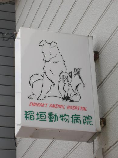 Rumic World tweet media