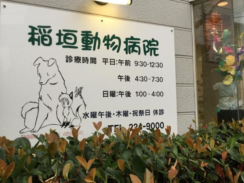 Rumic World tweet media