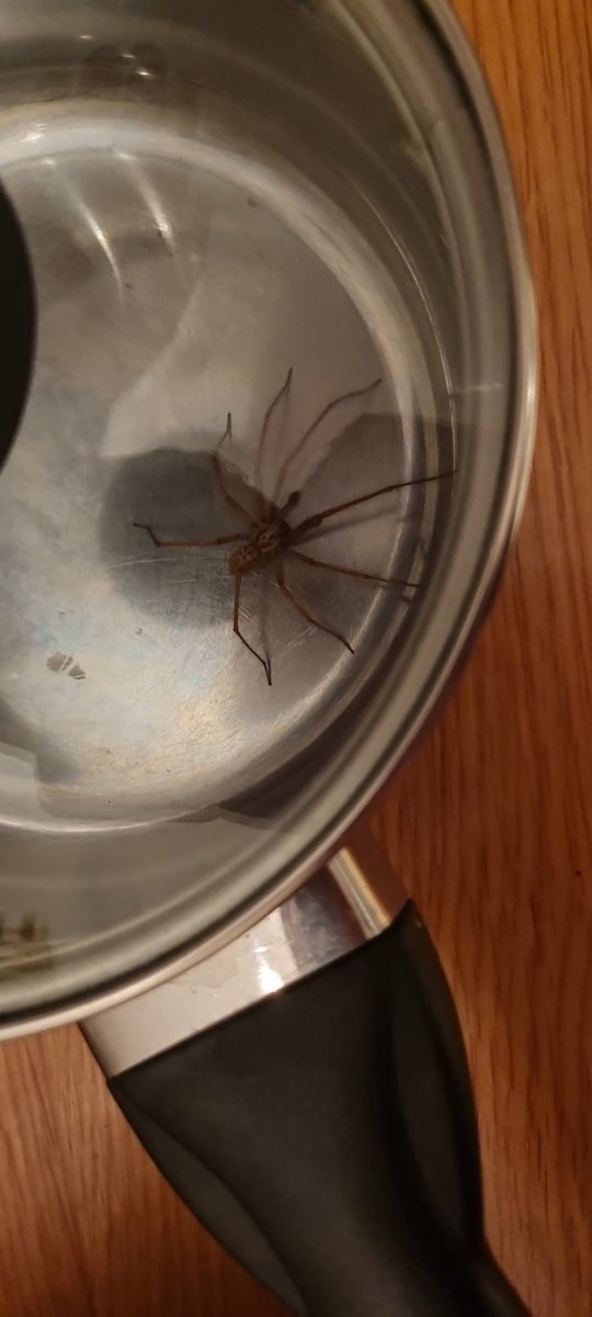 Gerry Feeney tweet media