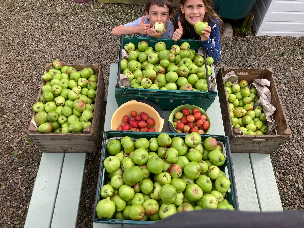 Busy day today 🥰 #applepicking #homegrown #familytime