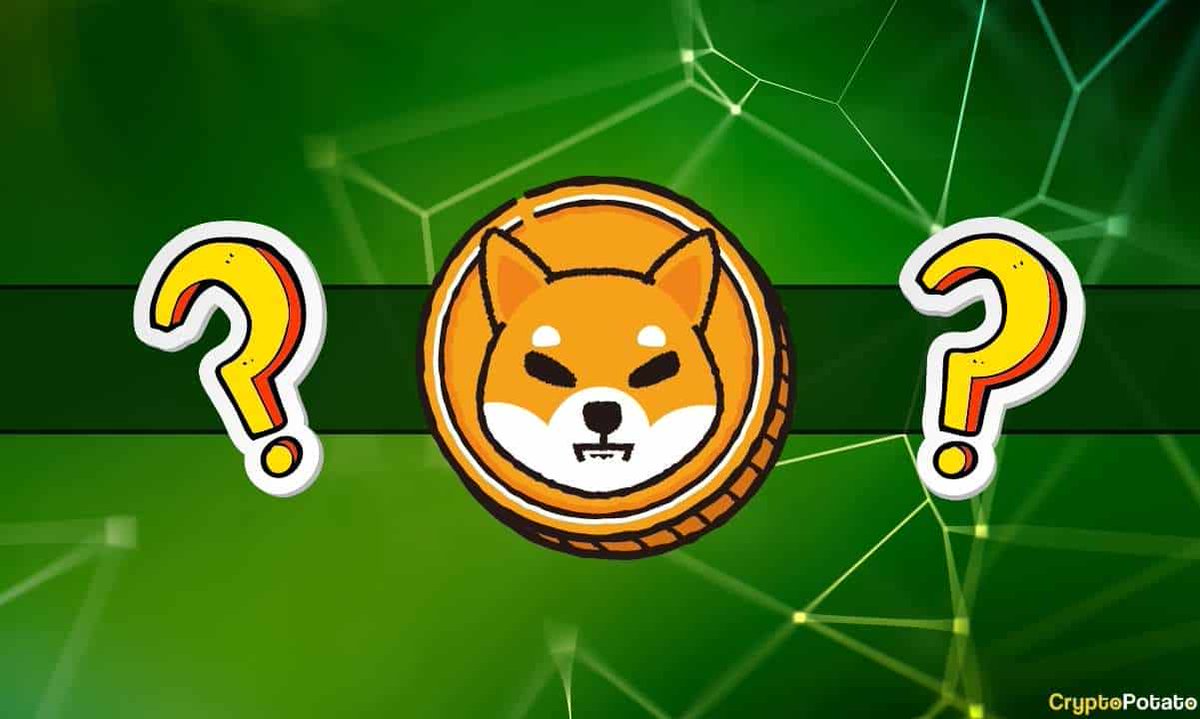 GameMoneyMatch's tweet image. We distribute 50 million @Shibtoken every day in our game. We advertise @Shibtoken  But Shiba doesn't have a sponsorship deal with us. Shiba must see us, help us.

If Shiba sponsors, we can double your income from the game.

Retweet this message and let @Shibtoken hear our voices