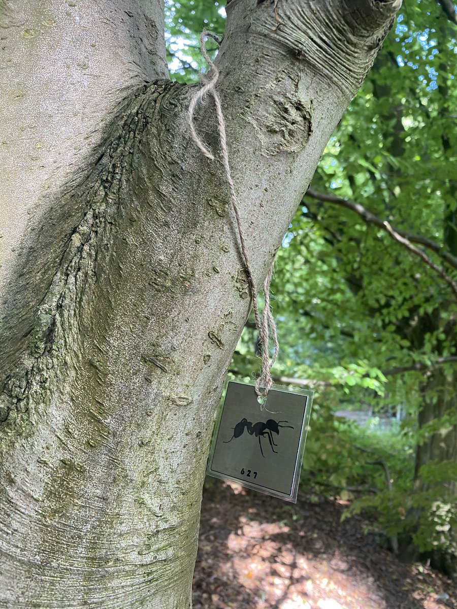 KYAdventurers's tweet photo. Summer Camp Day 2: Bacon barms, archery, fun &amp; games in the woods, mini-beast hunting, capture the flag water battle, BBQ and a moonlit tour of the woodland. Last day tomorrow… #adventurers #camping https://t.co/tBRxfWZp82