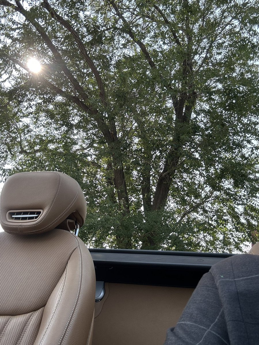 SmaielDanny's tweet image. Beautiful day to relax and soak it all in 😊 #prefall #sun