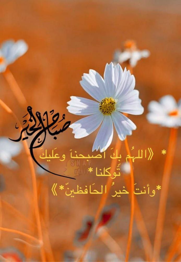 "اللهم أينما ولّيت وجهي ازرع الطيبين في طريقي، وسخر لي الأرض ومن عليها واجعل حصاد أيامي خيراً في خير ...
.
.
#صباح_الخير_والسعاده 
#الاستديو105