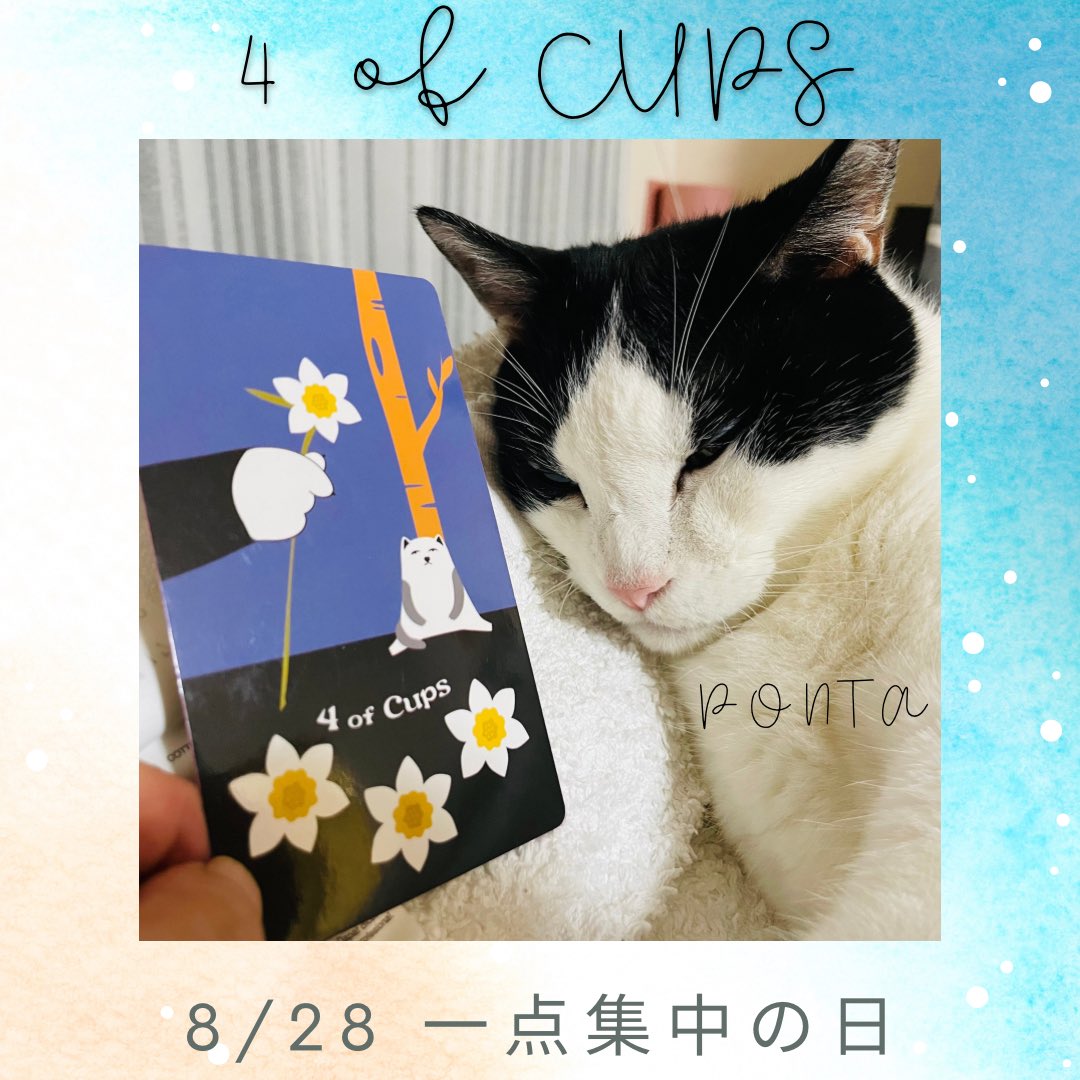 oraclerinko's tweet photo. 8/28一点集の日😕ある側面からばかり物事を見てしまいます。不平不満が募りダメなところばかり目につく😩不満に思うことは悪いことではありませんが、どんな状況にもメリットは必ずあります。不満なら、どうなって欲しいのか、自分で変えられるところはどこかに注目してみて👀 #4ofCUPS #むにゃむニャ https://t.co/VZDfm5xPa7