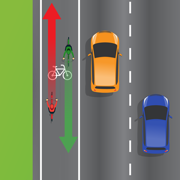 You know your road rules, and now’s your chance to prove it.

You can’t see it in this picture, but there is a ‘bicycle lane’ sign identifying the lane used by the bikes. Are these riders allowed to ride in both directions as shown?