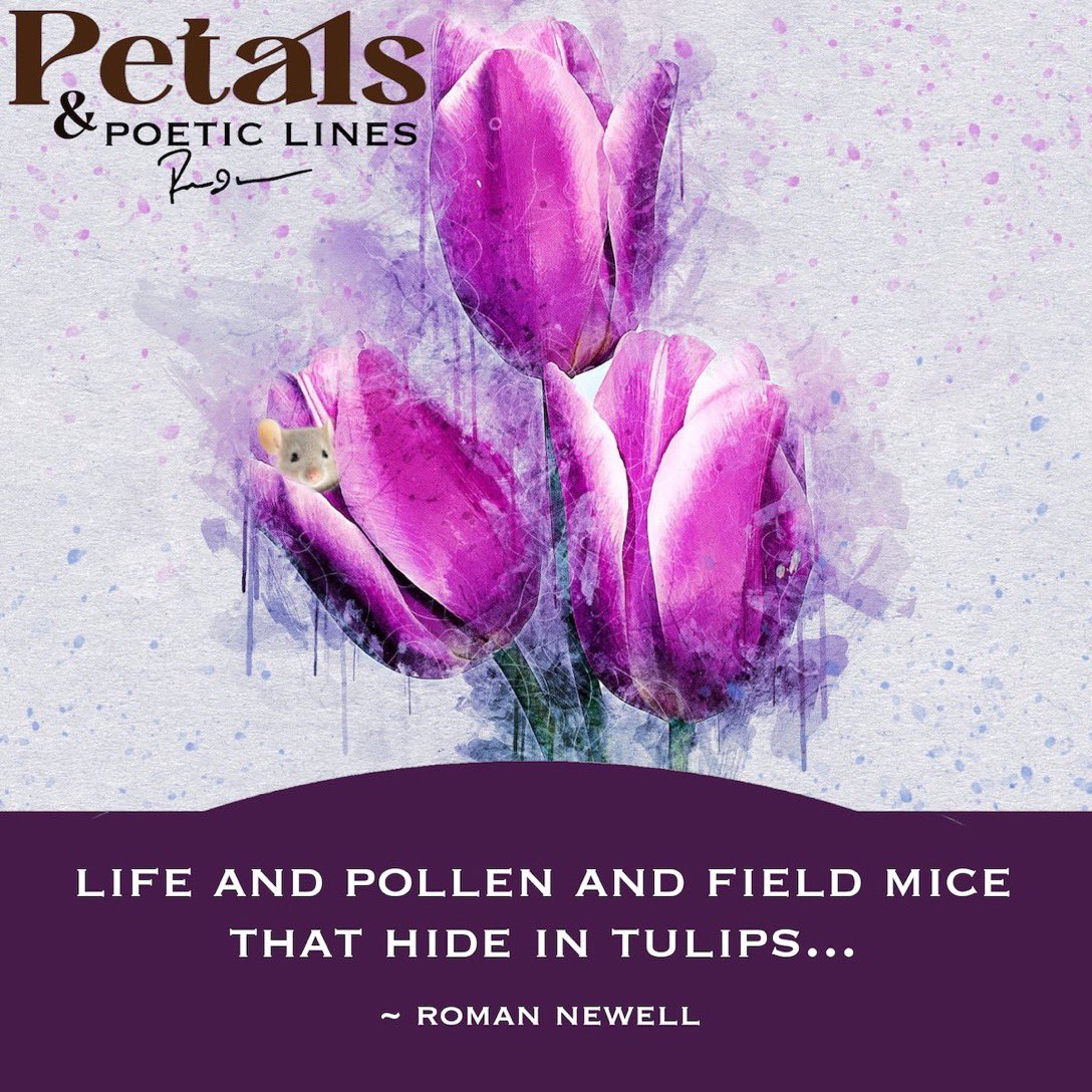 dajc_thoughts's tweet photo. I want to write 
about...

life and pollen
and field mice
that
hide in tulips...
by: Roman Newell

#mayflowers #spring #naturalworld #nature #flowers #tulips #writing #whatsonmymind #creativewriting #smashingthis #poetry #author #romannewell #poetryrecs https://t.co/TEs97ZUMhr