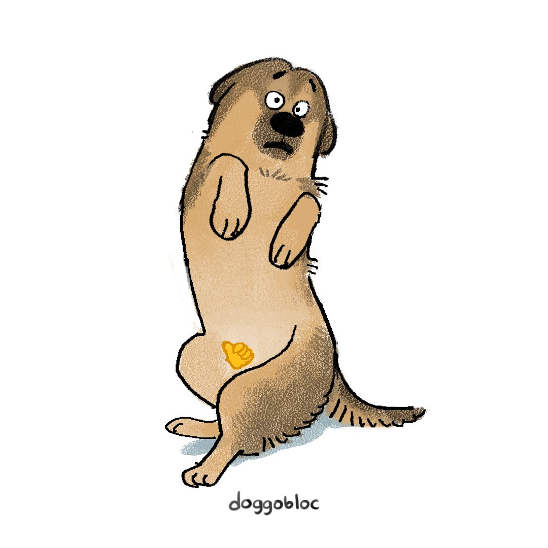 Doggobloc tweet media