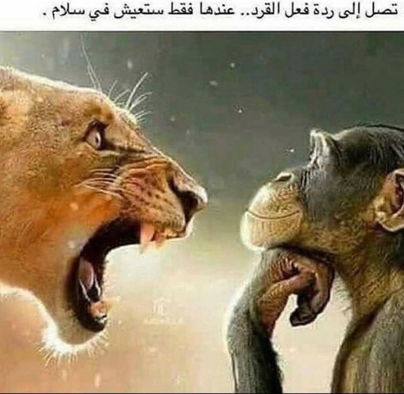 mari (@maarsbbars) on Twitter photo 