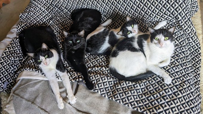 The babes https://t.co/NA81UlGxSF