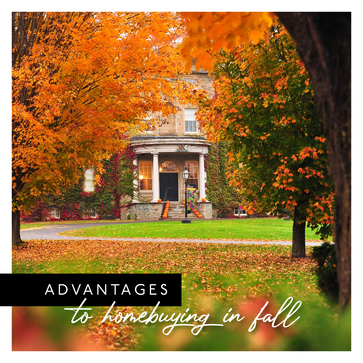 John Nguon tweet media