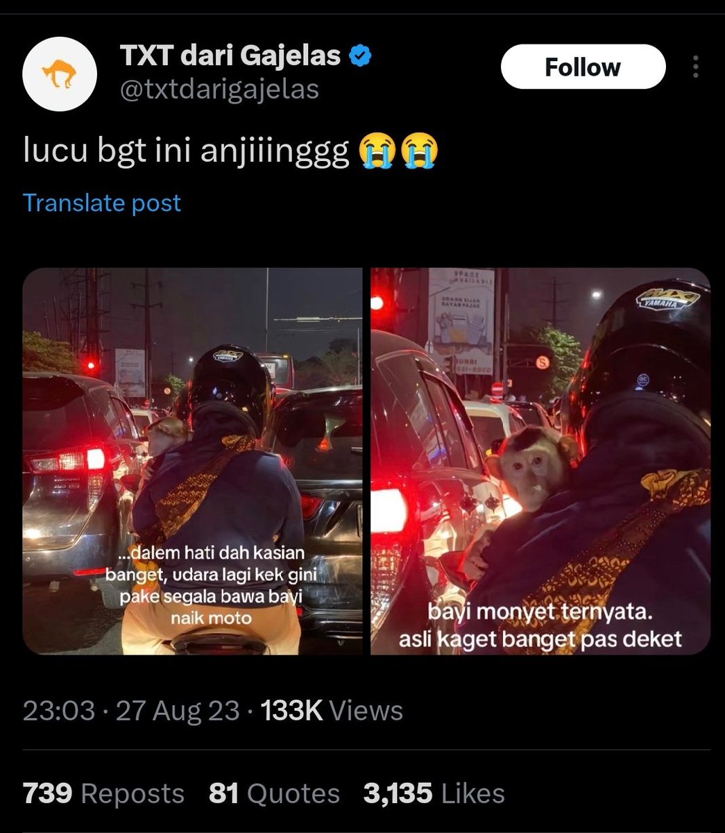 Gada lucu-lucunya piara primata.. dibawa kemana-mana.. 

Kena polusipun, trus nanti dia nyebarin penyakit. Belum pake acara lepas. Entah ketabrak, atau nyerang orang.

Yg kaya gini jangan dinormalisasi deh. Gausah ikut-ikutan influencer tukang piara satwa liar.