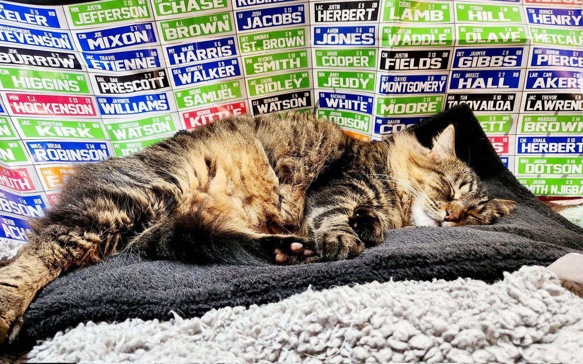 juelkitty's tweet image. Fantasy Football draft party complete. Need sleep 😴 #FantasyFootball #draftweekend